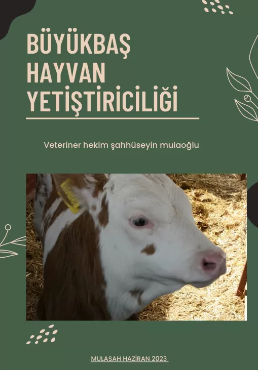 BÜYÜKBAŞ HAYVAN YETİŞTİRİCİLİĞİ